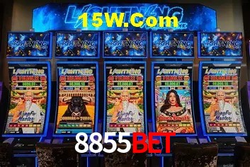 8855Bet - User Statistics