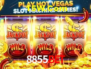 8855Bet Rio de Janeiro - Licenses